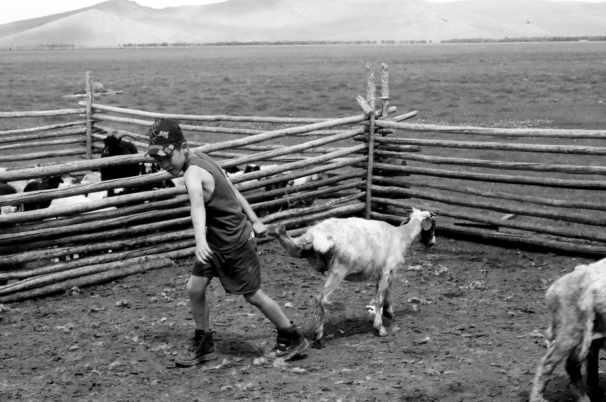 Photograph by Rebecca Ahrens