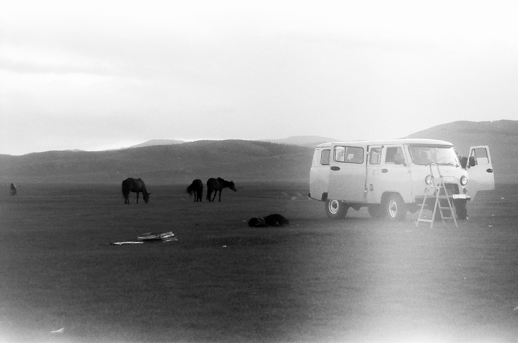 Photograph by Rebecca Ahrens