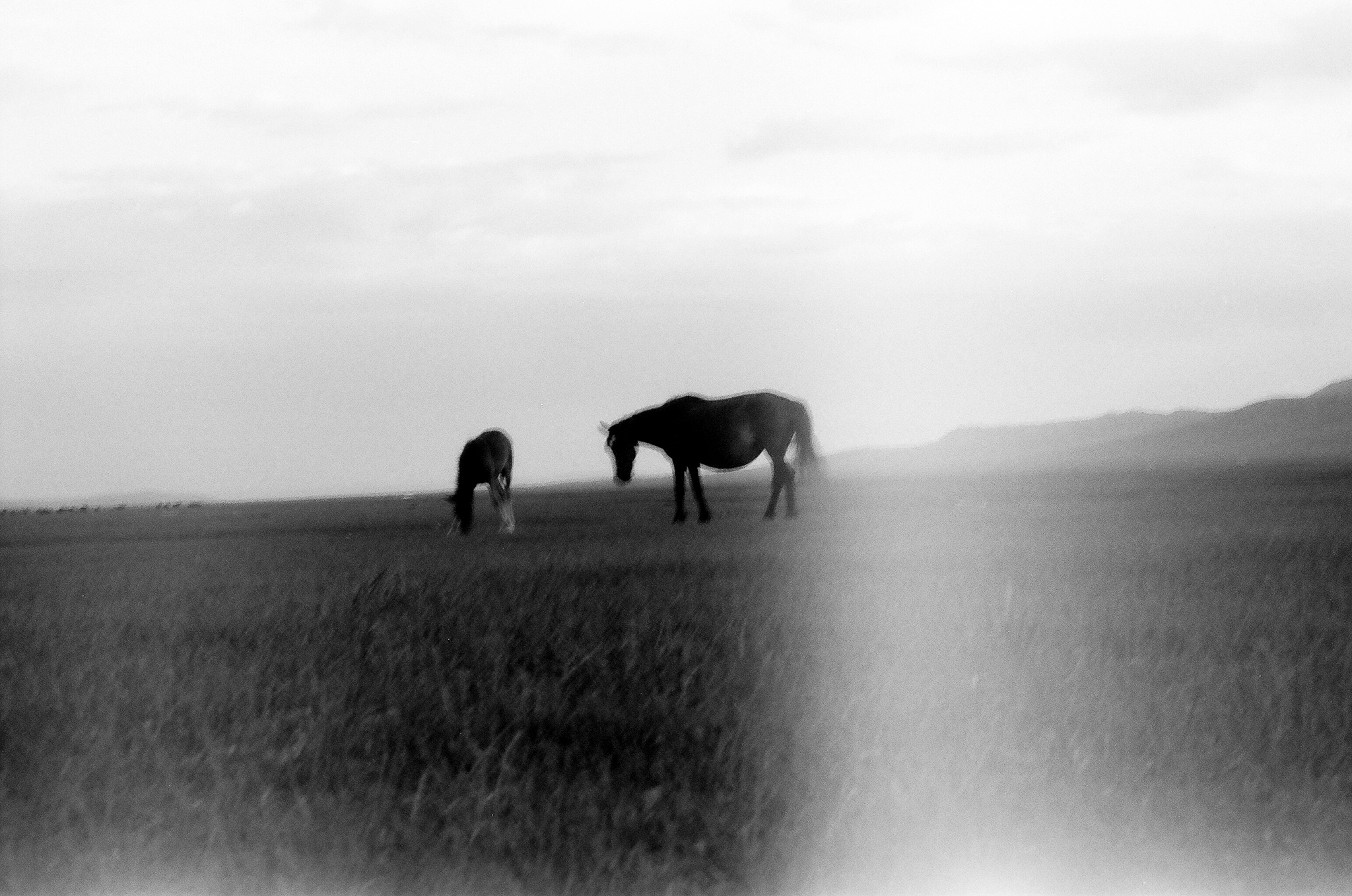 Photograph by Rebecca Ahrens