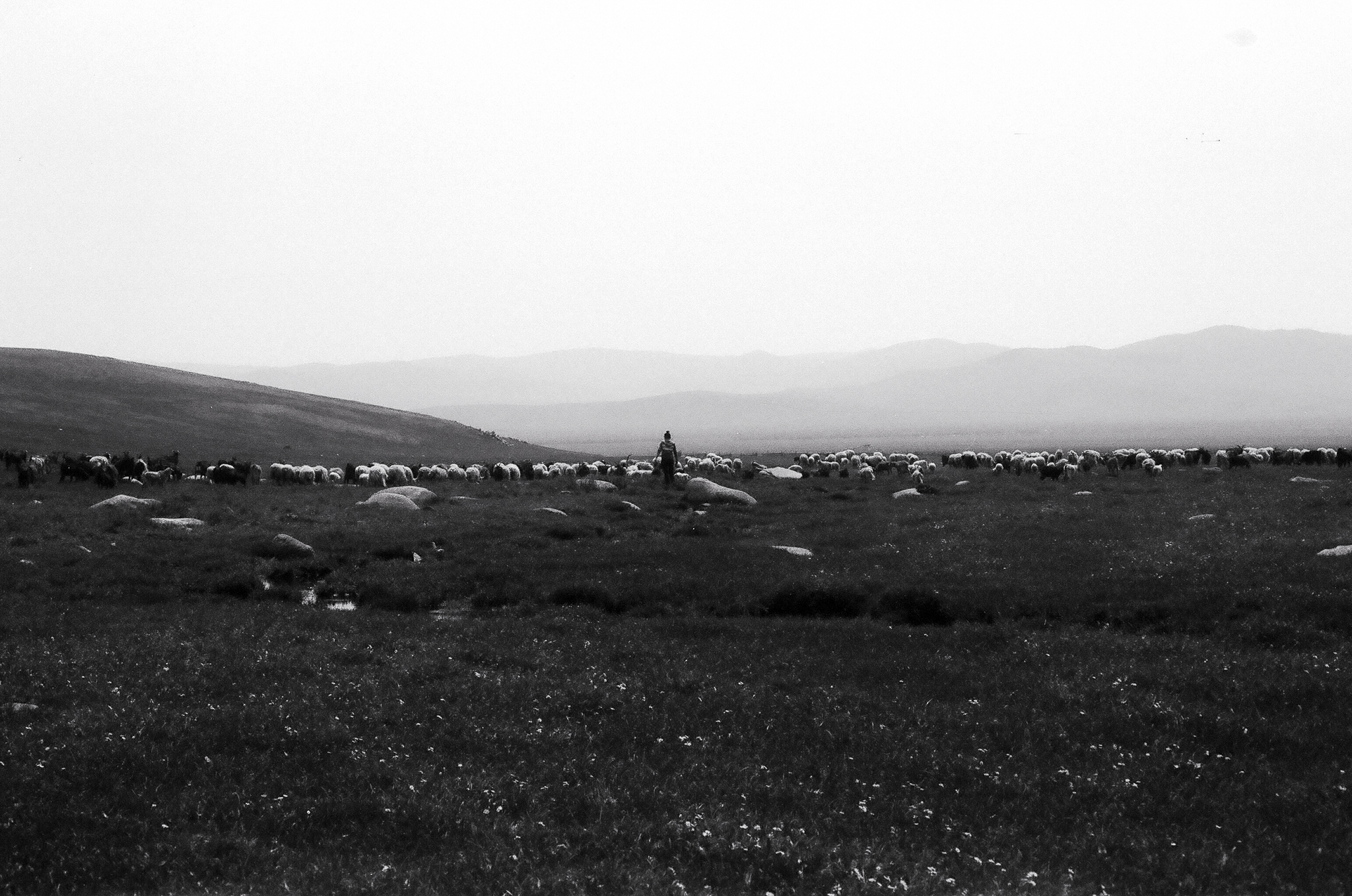 Photograph by Rebecca Ahrens
