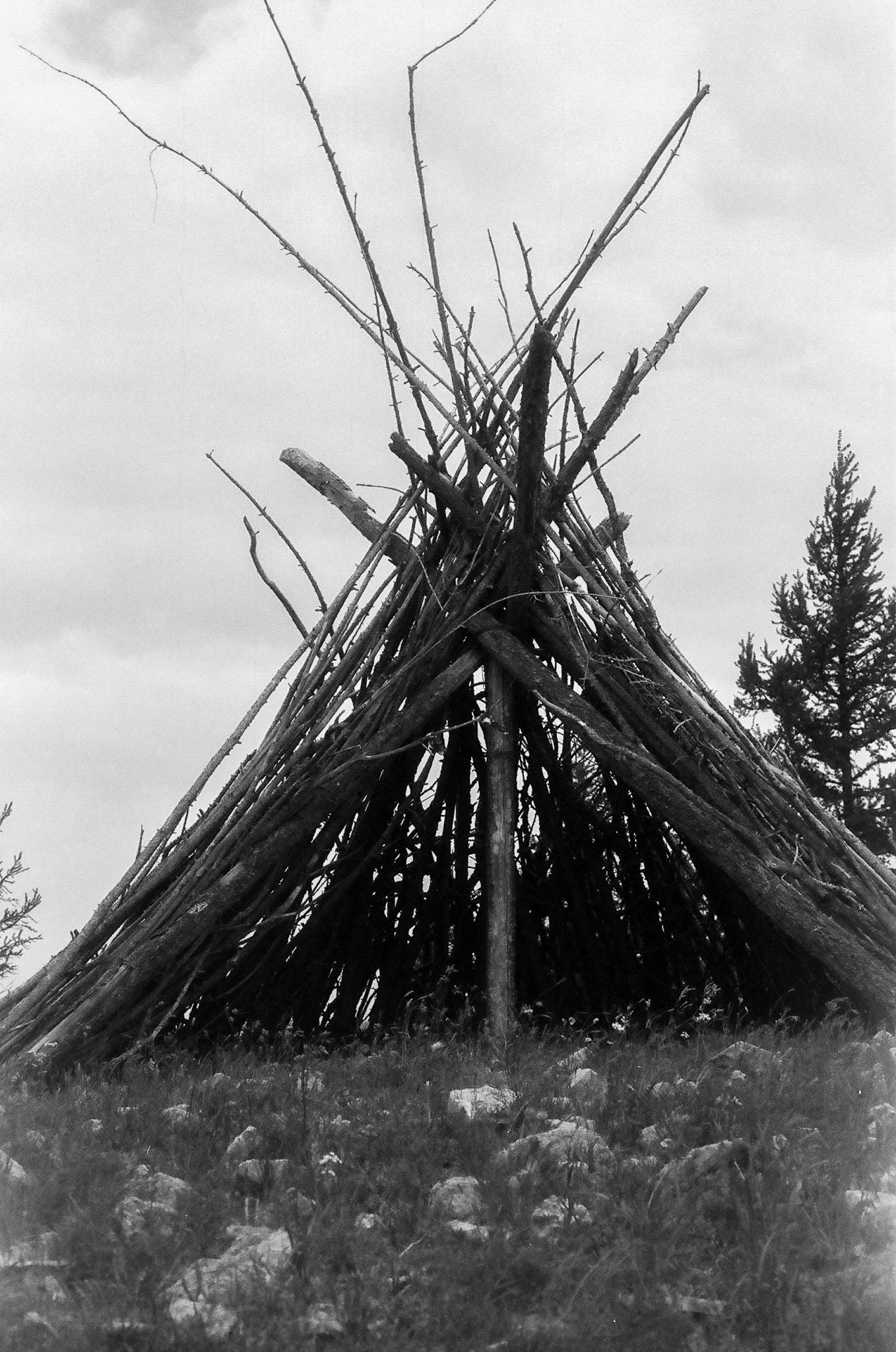 Photograph by Rebecca Ahrens