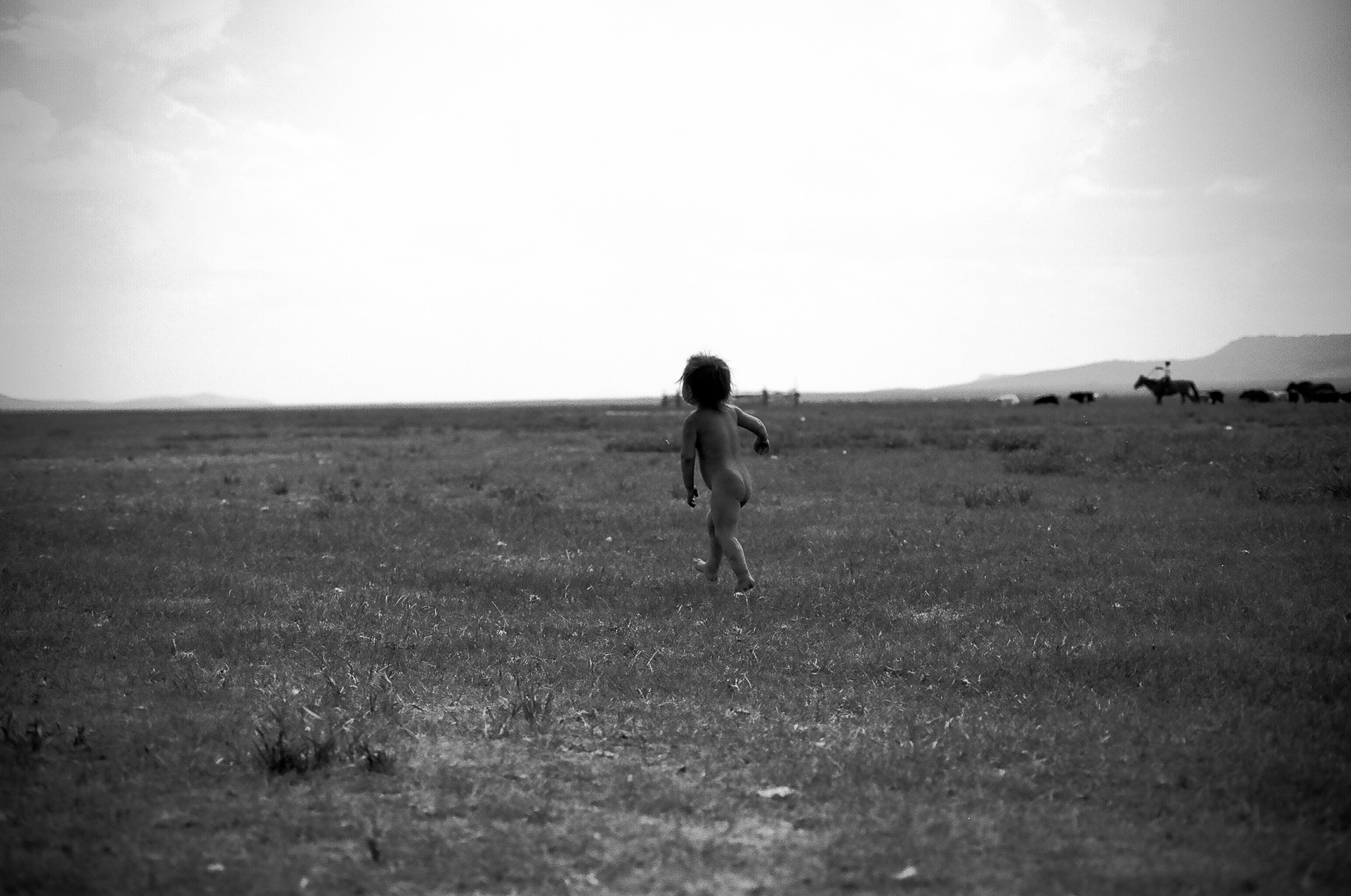 Photograph by Rebecca Ahrens