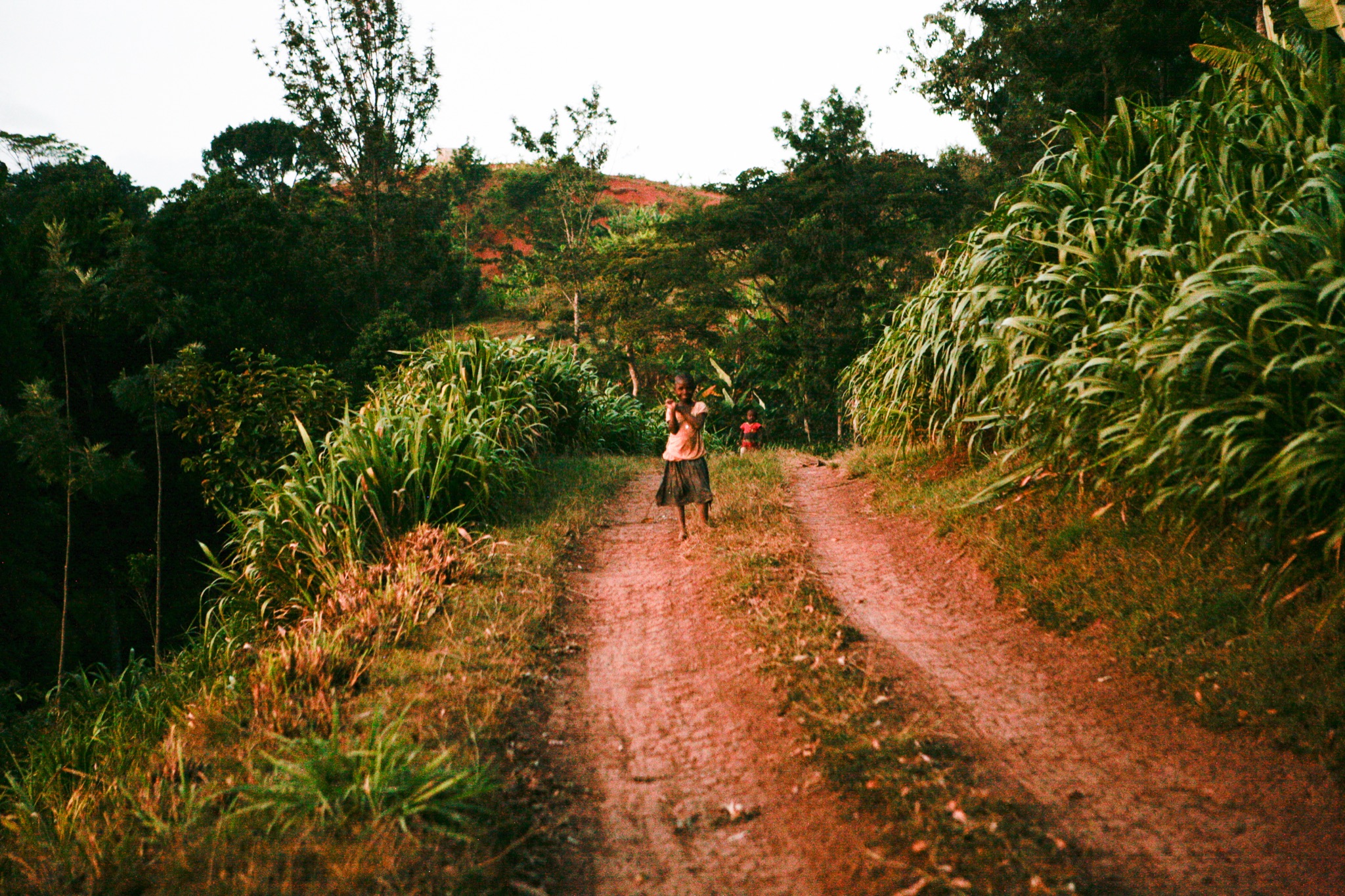 Photograph by Rebecca Ahrens
