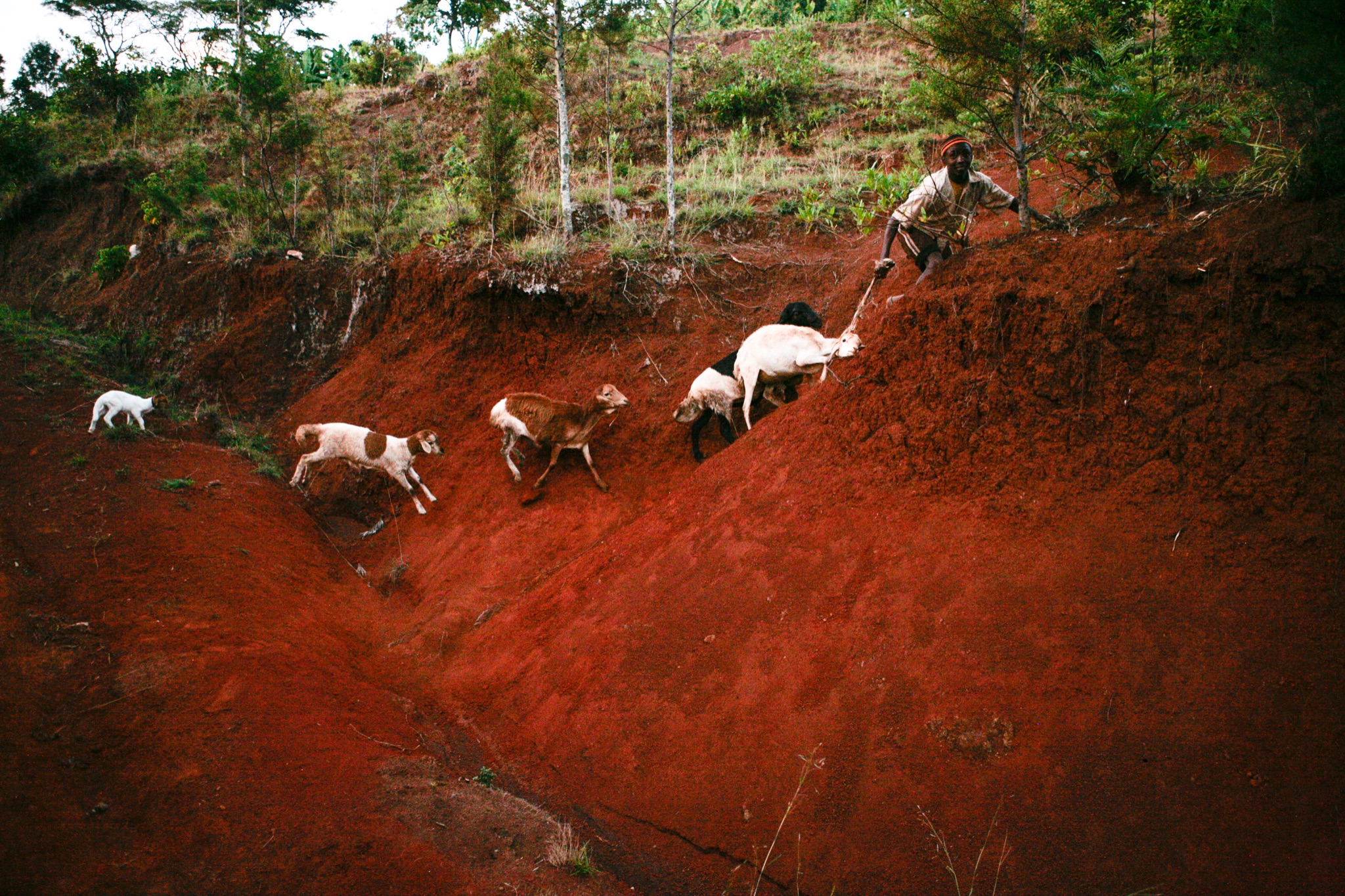 Photograph by Rebecca Ahrens