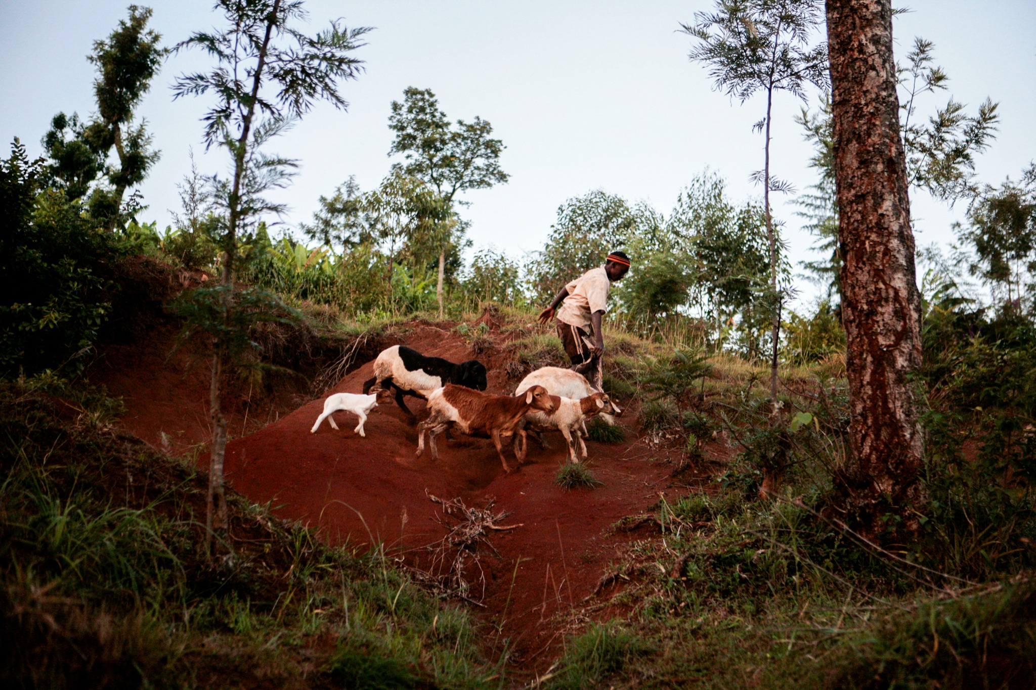 Photograph by Rebecca Ahrens