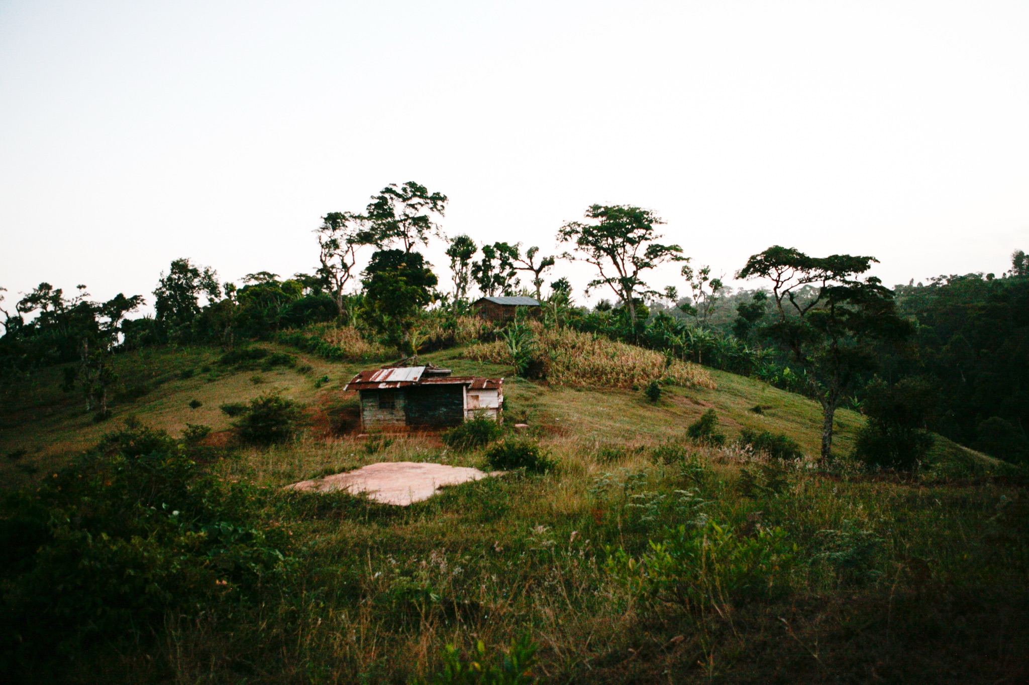 Photograph by Rebecca Ahrens