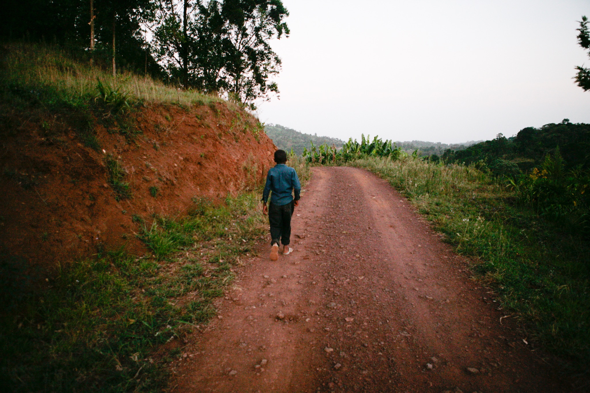 Photograph by Rebecca Ahrens