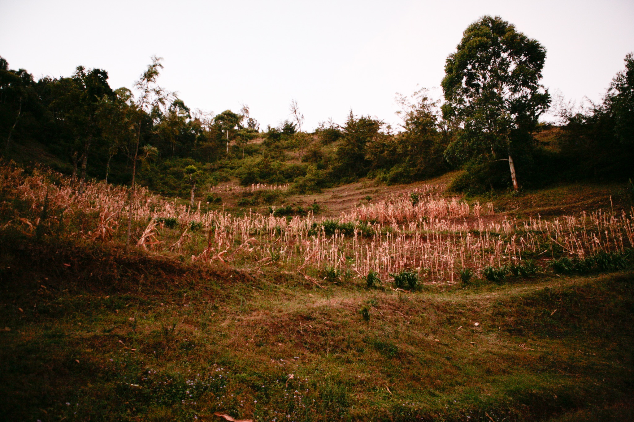 Photograph by Rebecca Ahrens