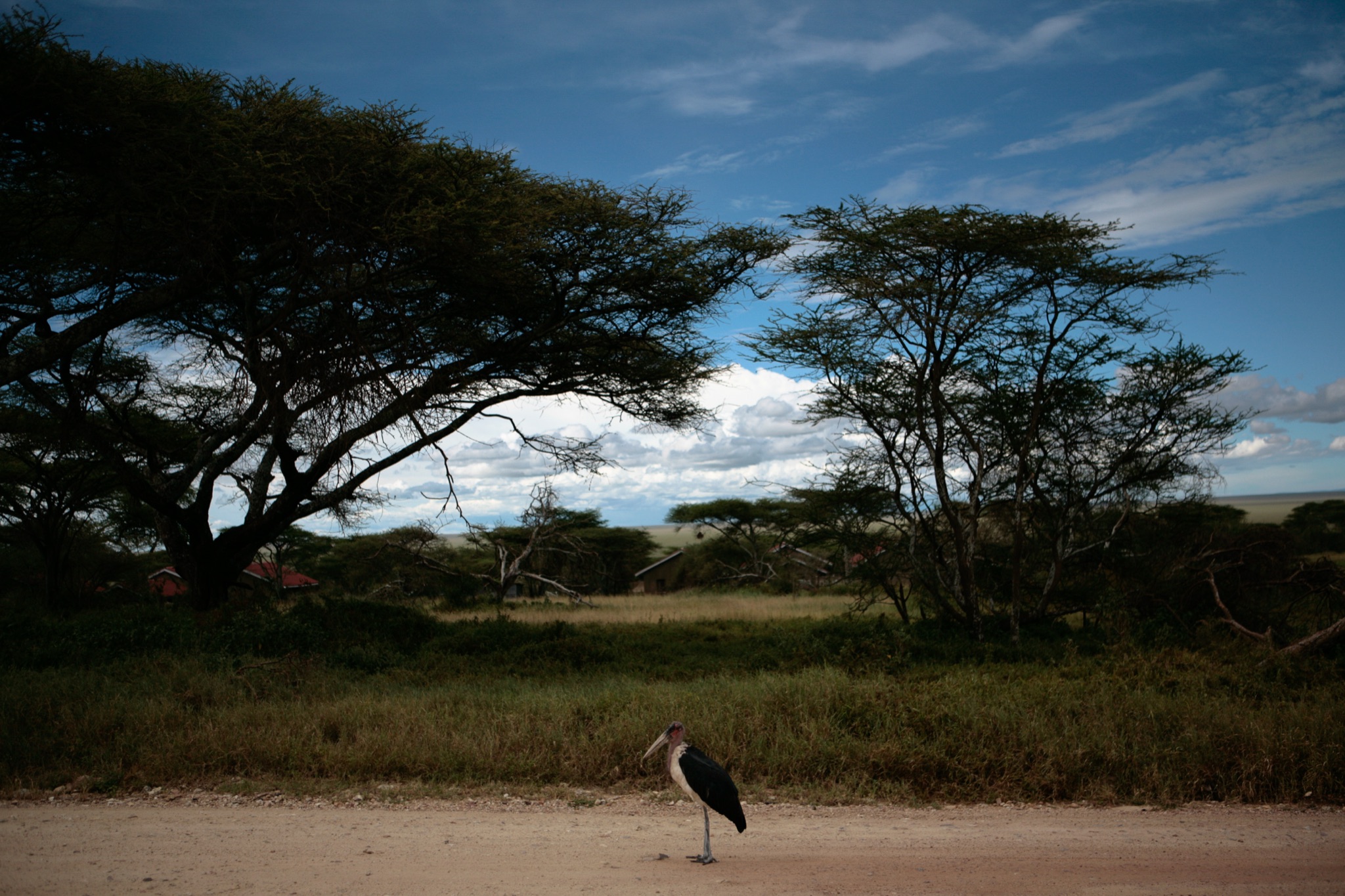 Photograph by Rebecca Ahrens
