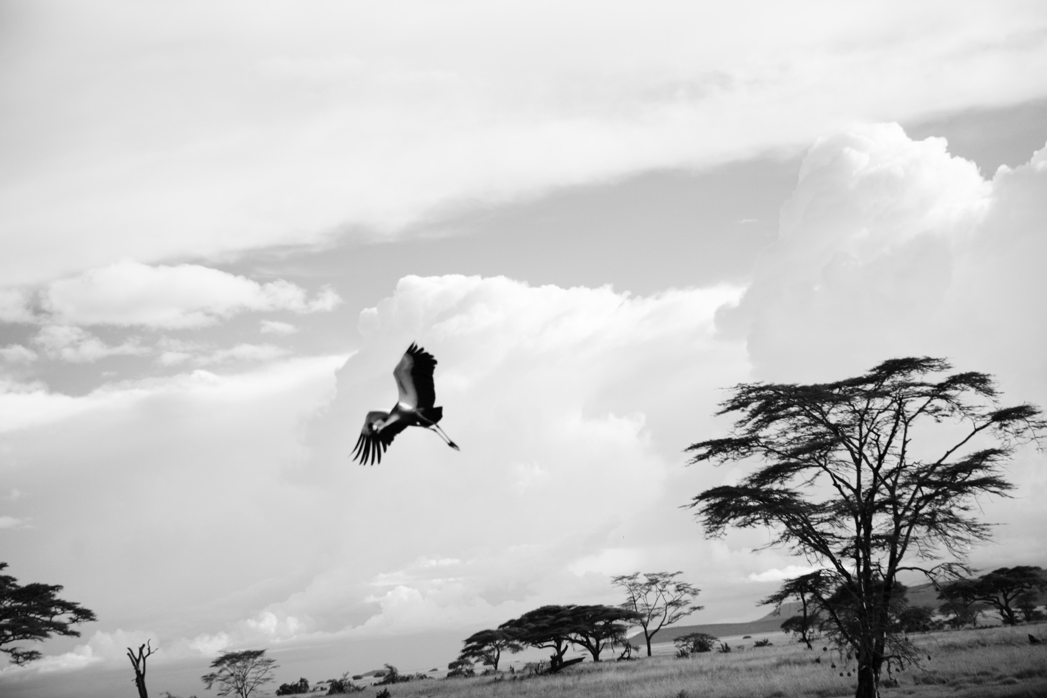 Photograph by Rebecca Ahrens