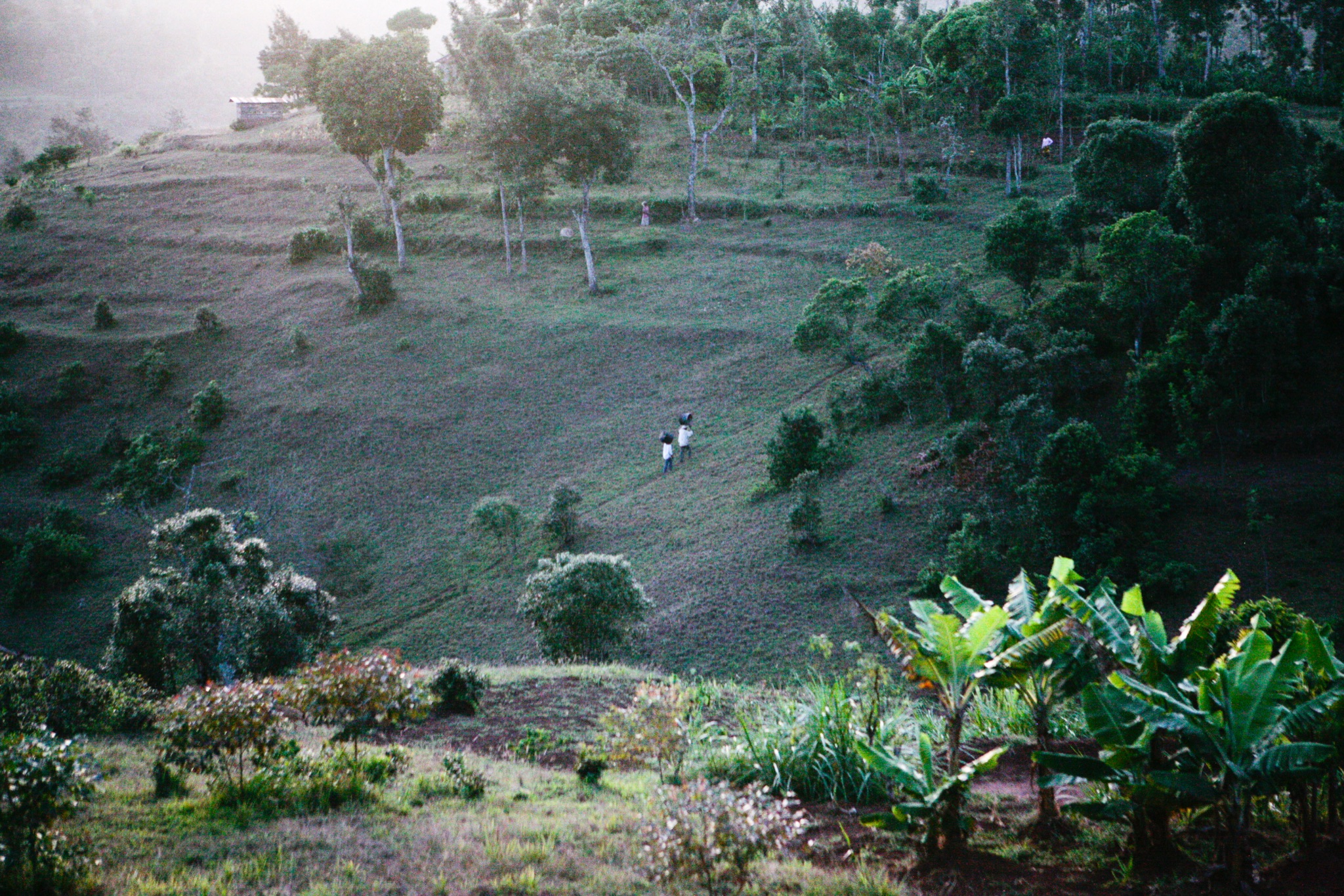 Photograph by Rebecca Ahrens
